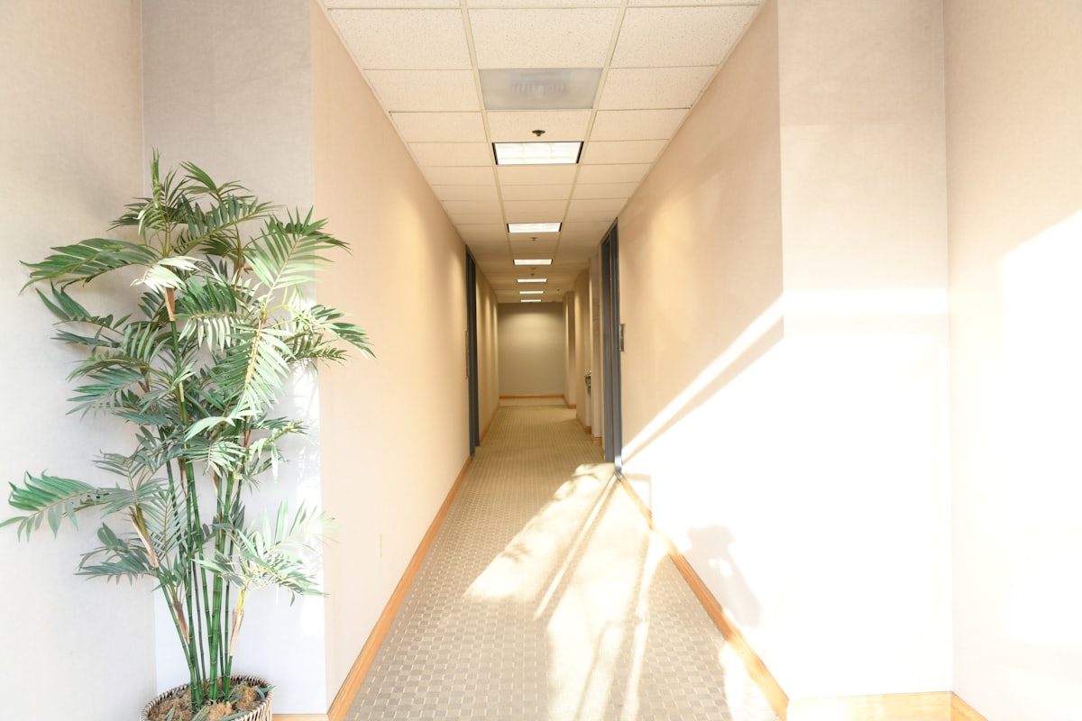 Clinic corridor with plants and waiting area seating